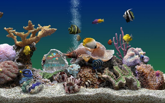 3d�ȴ��㶯̬��������