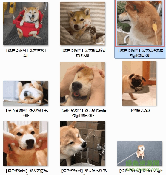 ��Ȯ������̬ͼ����