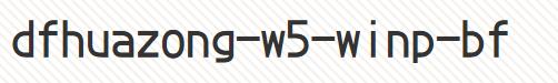 dfhuazong-w5-winp-bf����