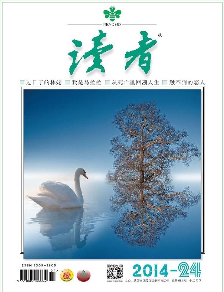 ����2014��12����pdf���������