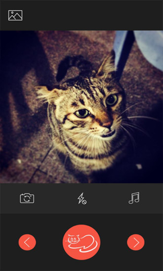 ����(Moecam)����