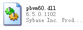 pbvm60.dll����