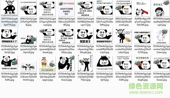 qq�������������