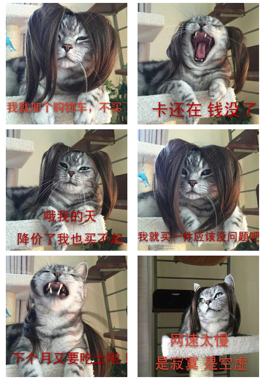 ˫11����qq���������